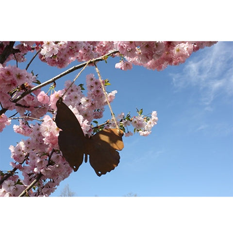Rostige Gartendekoration in Form eines Edelrost Schmetterling Falter als dekoratives Accessoire für Wohnzimmer, Balkon und Terrasse.