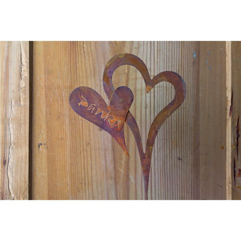 Filigranes Gartenstecker Rost Metall Herz mit Danke Schriftzug als einzigartige Edelrost Dekoration für den Innen- und Außenbereich.