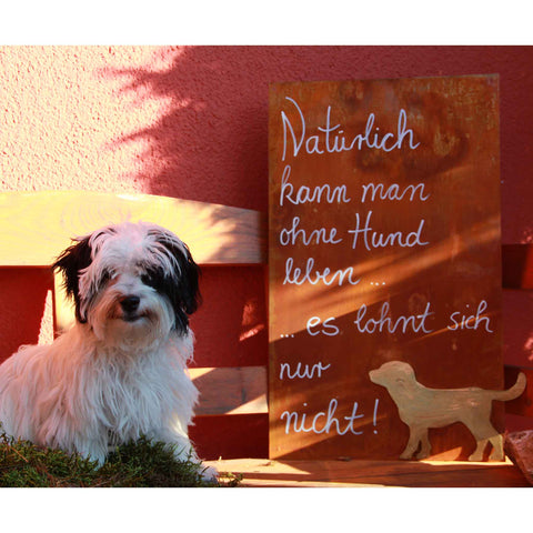 Panneau Samy, Panneau rouillé avec chien