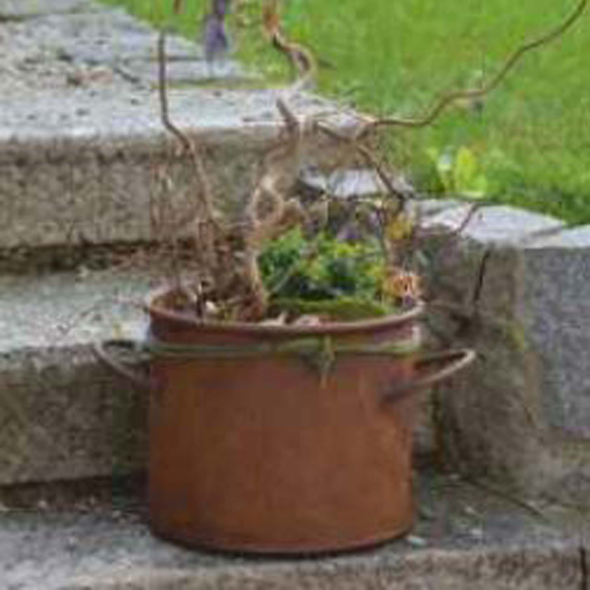 Metall Blumentopf mit Edelrost-Finish - Shabby Chic Deko für Garten oder Terrasse