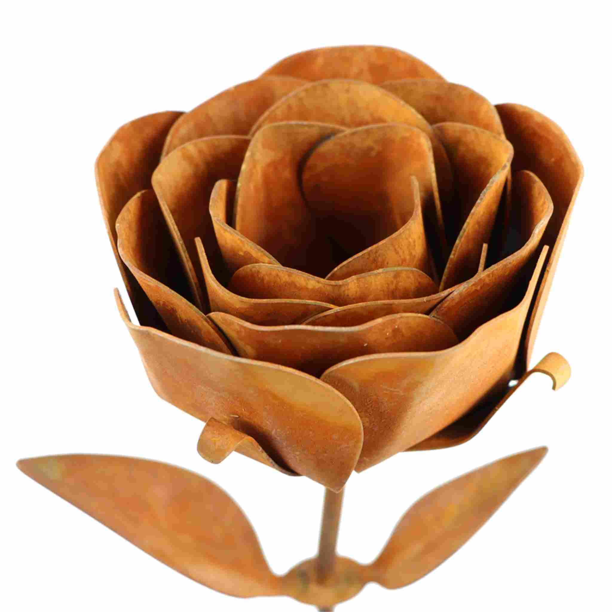 Tauchen Sie ein in die feine Handwerkskunst unserer Metalldeko Rosen. Jede Blüte ist mit Liebe zum Detail gestaltet.