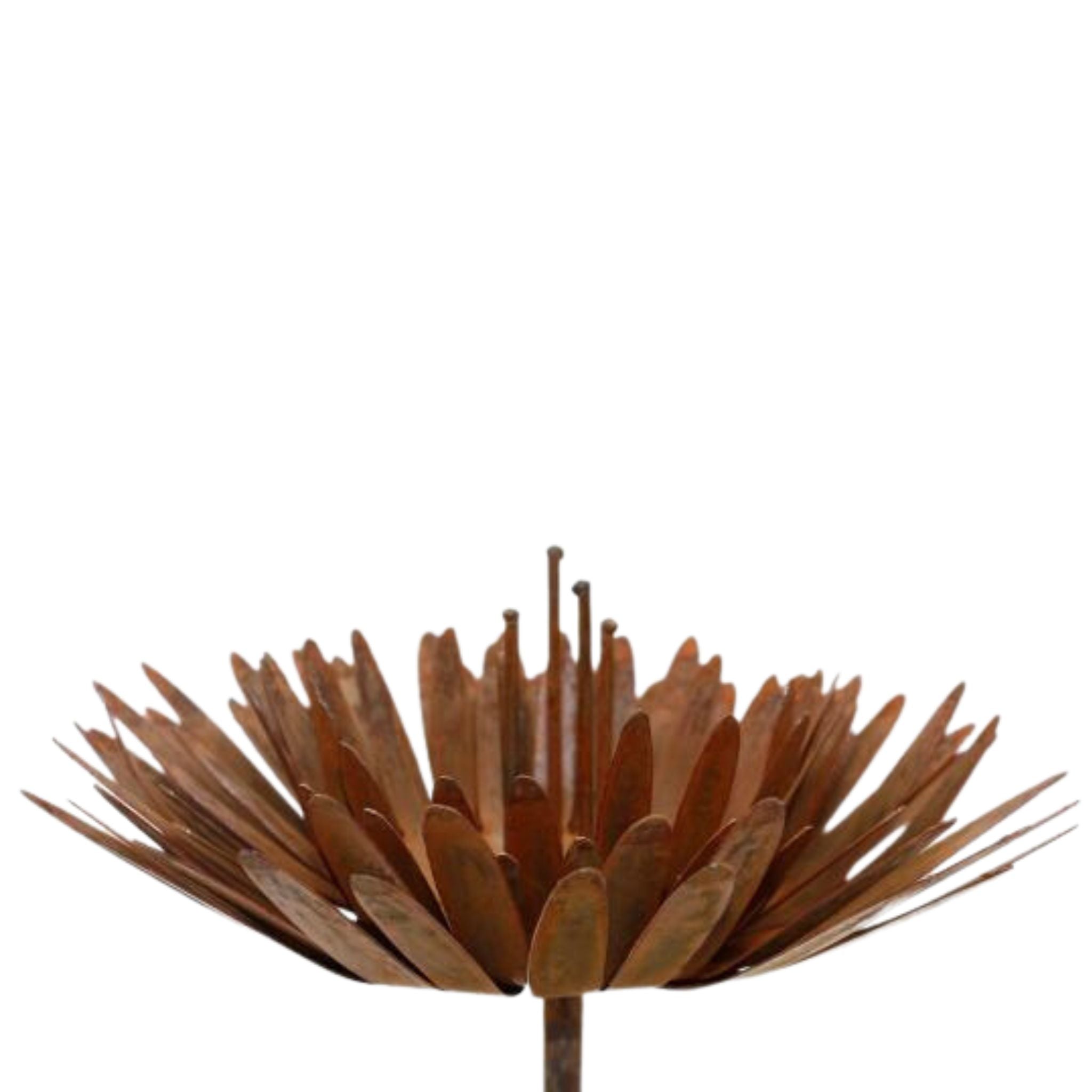 Handgefertigte Edelrost Chrysantheme in 3D Optik. Metall Blumen Deko Stecker als bezauberndes Accessoire für drinnen oder draußen.